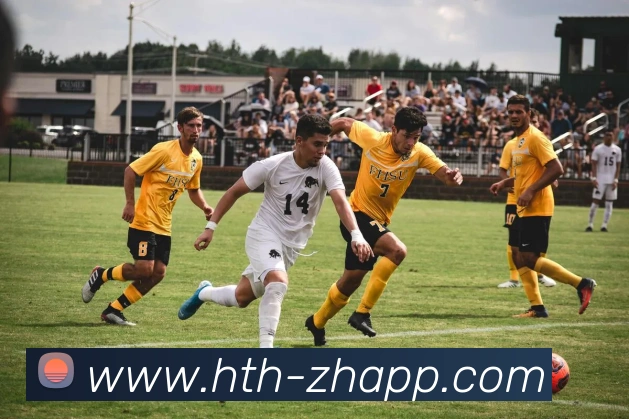 华体会平台生态图